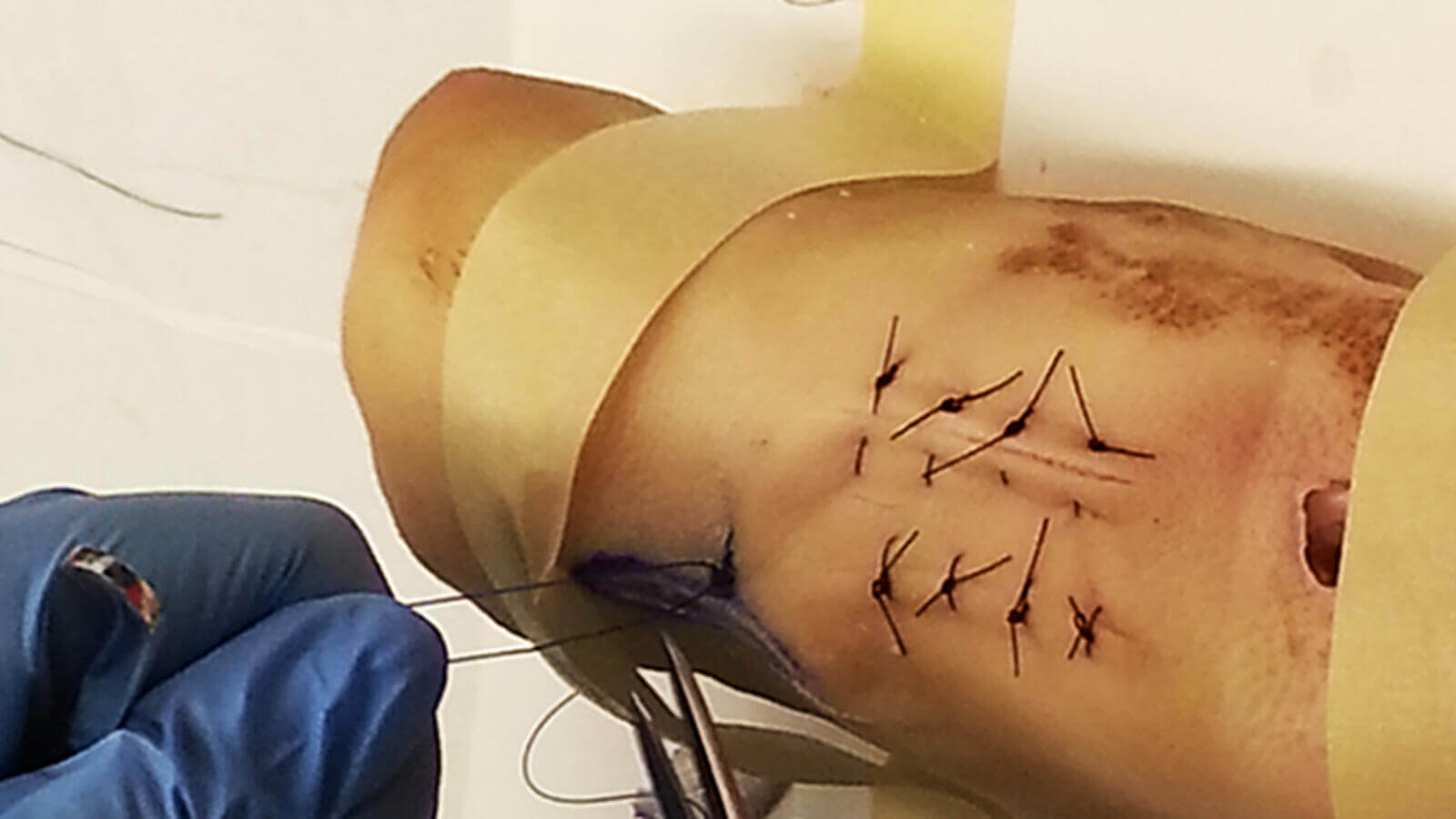 Pigsfeet stitching practice